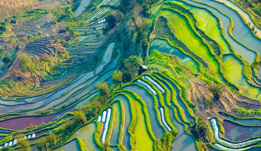 宝妈必备神器：营口产品视频拍摄轻松育儿好帮手