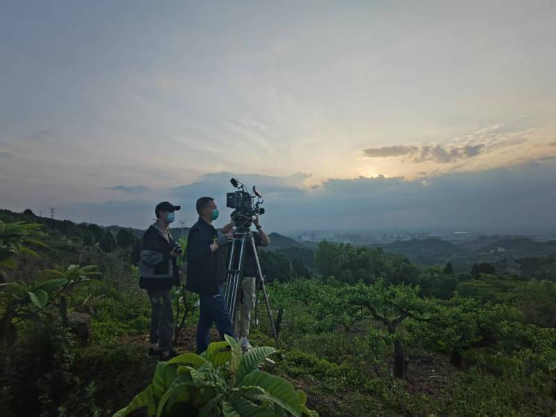 创意破圈！营口电商产品宣传视频用故事化叙事引爆流量