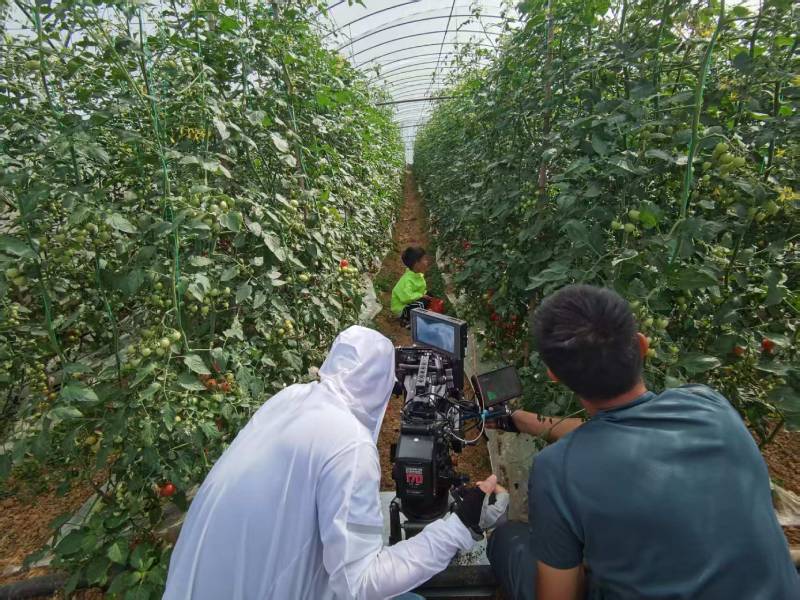 营口产品宣传视频拍摄公司进阶指南，助力品牌抢占传播高地